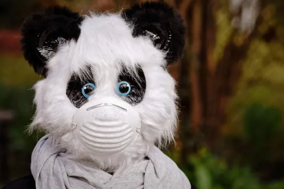 TopBet Casino Ënnerstëtzung